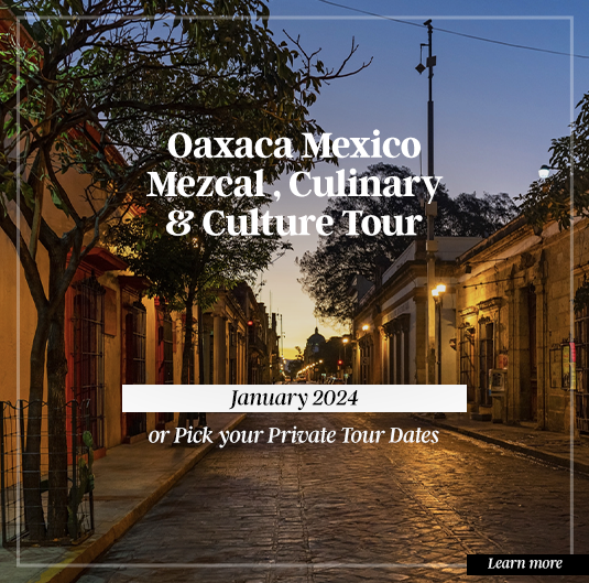 Oaxaca Mexico Mezcal & Cuisine - December 2023 - Booking Now!